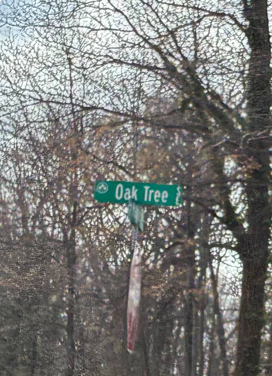 Oak Tree street sign in Cascade Township — Cascade, Michigan